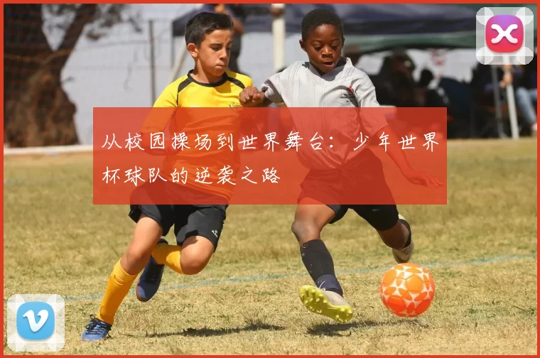 从校园操场到世界舞台:少年世界杯球队的逆袭之路