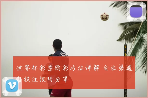 世界杯彩票购彩方法详解 合法渠道与投注技巧分享