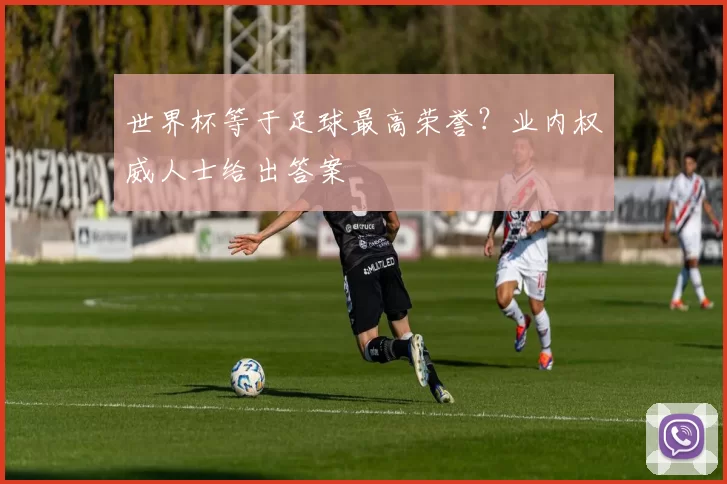 世界杯等于足球最高荣誉？业内权威人士给出答案