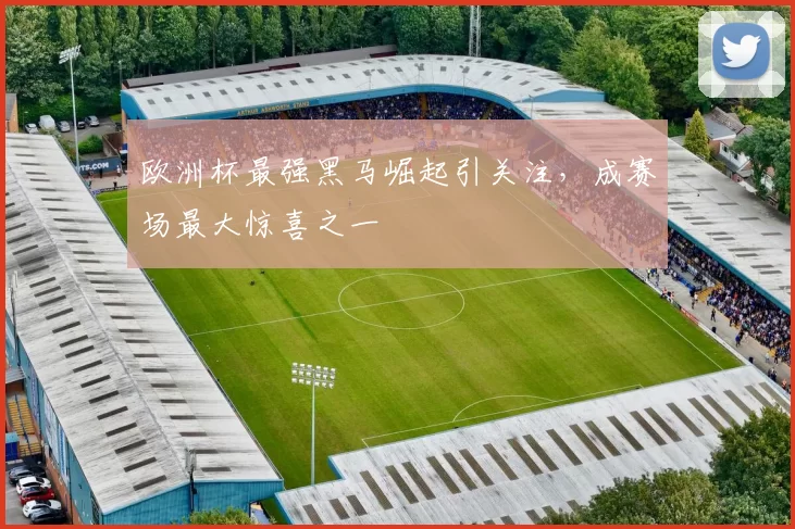 欧洲杯最强黑马崛起引关注,成赛场最大惊喜之一