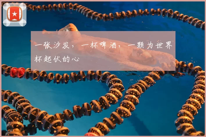 一张沙发，一杯啤酒，一颗为世界杯起伏的心