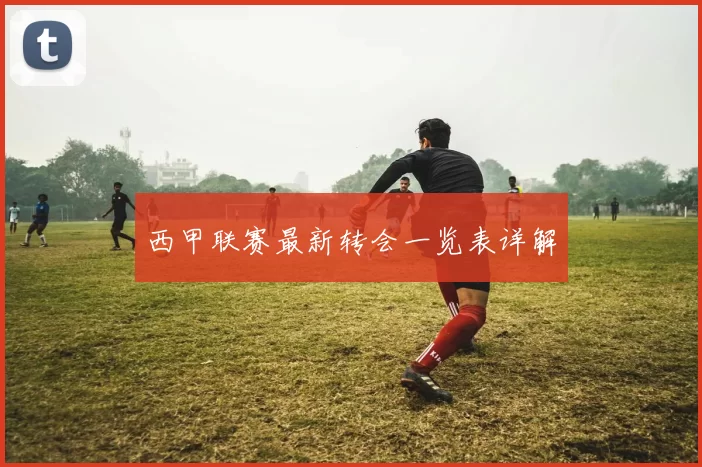 西甲联赛最新转会一览表详解