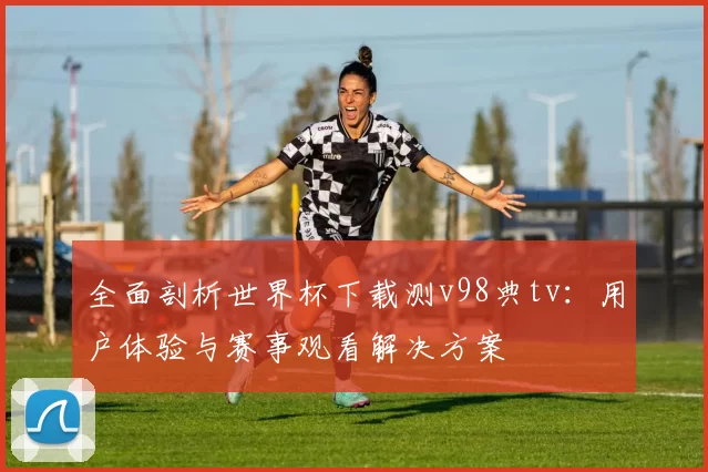 全面剖析世界杯下载测v98典tv：用户体验与赛事观看解决方案