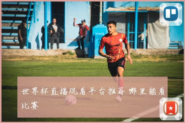 世界杯直播观看平台推荐 哪里能看比赛