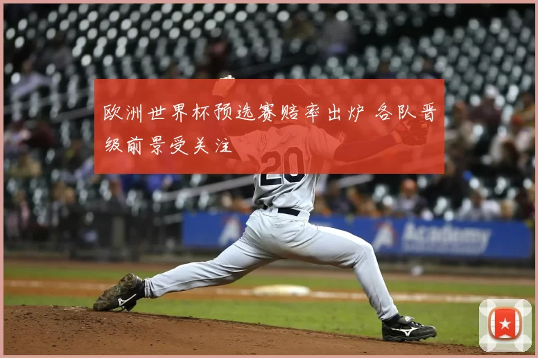 欧洲世界杯预选赛赔率出炉 各队晋级前景受关注
