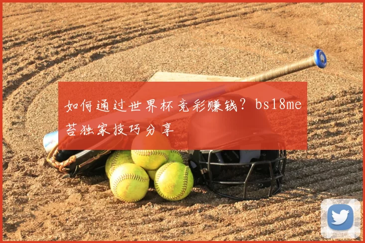 如何通过世界杯竞彩赚钱?bs18me苔独家技巧分享