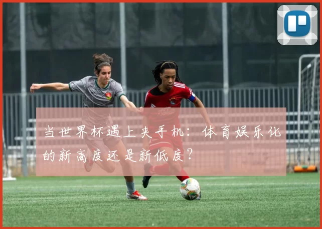 当世界杯遇上夹手机:体育娱乐化的新高度还是新低度?