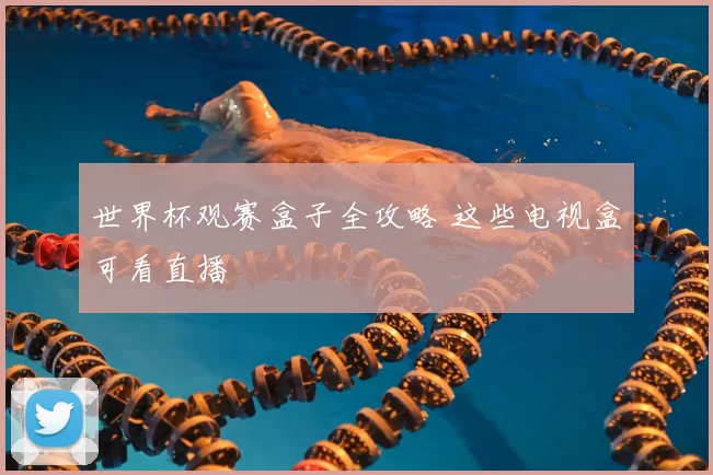 世界杯观赛盒子全攻略 这些电视盒可看直播