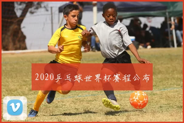 2020乒乓球世界杯赛程公布