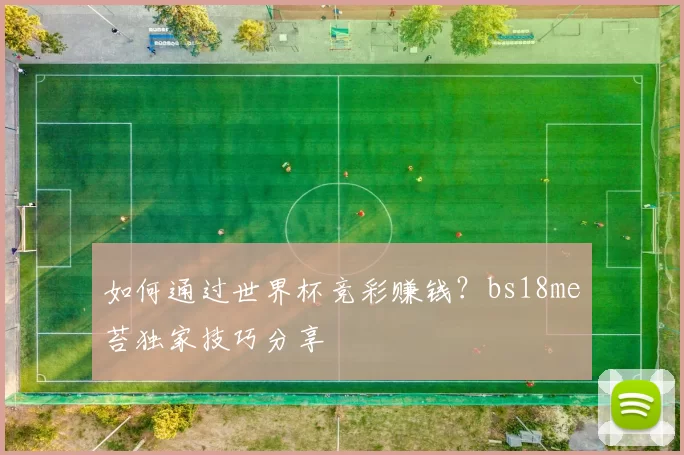 如何通过世界杯竞彩赚钱?bs18me苔独家技巧分享