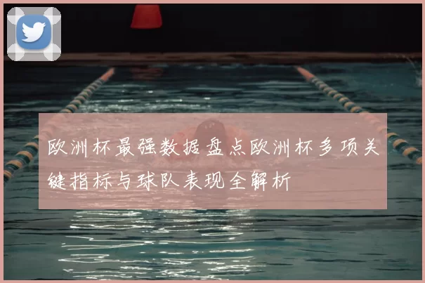 欧洲杯最强数据盘点欧洲杯多项关键指标与球队表现全解析