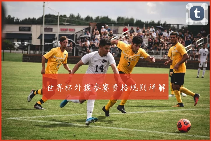 世界杯外援参赛资格规则详解